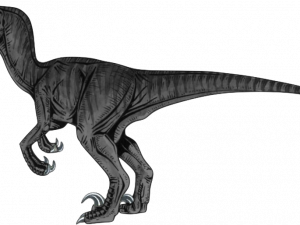 Velociraptor PNG Clipart