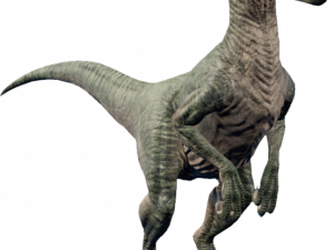 Velociraptor PNG Free Image