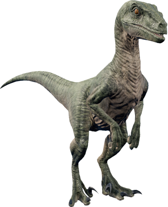 Velociraptor PNG Free Image