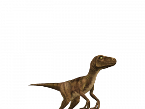 Velociraptor PNG HD Image