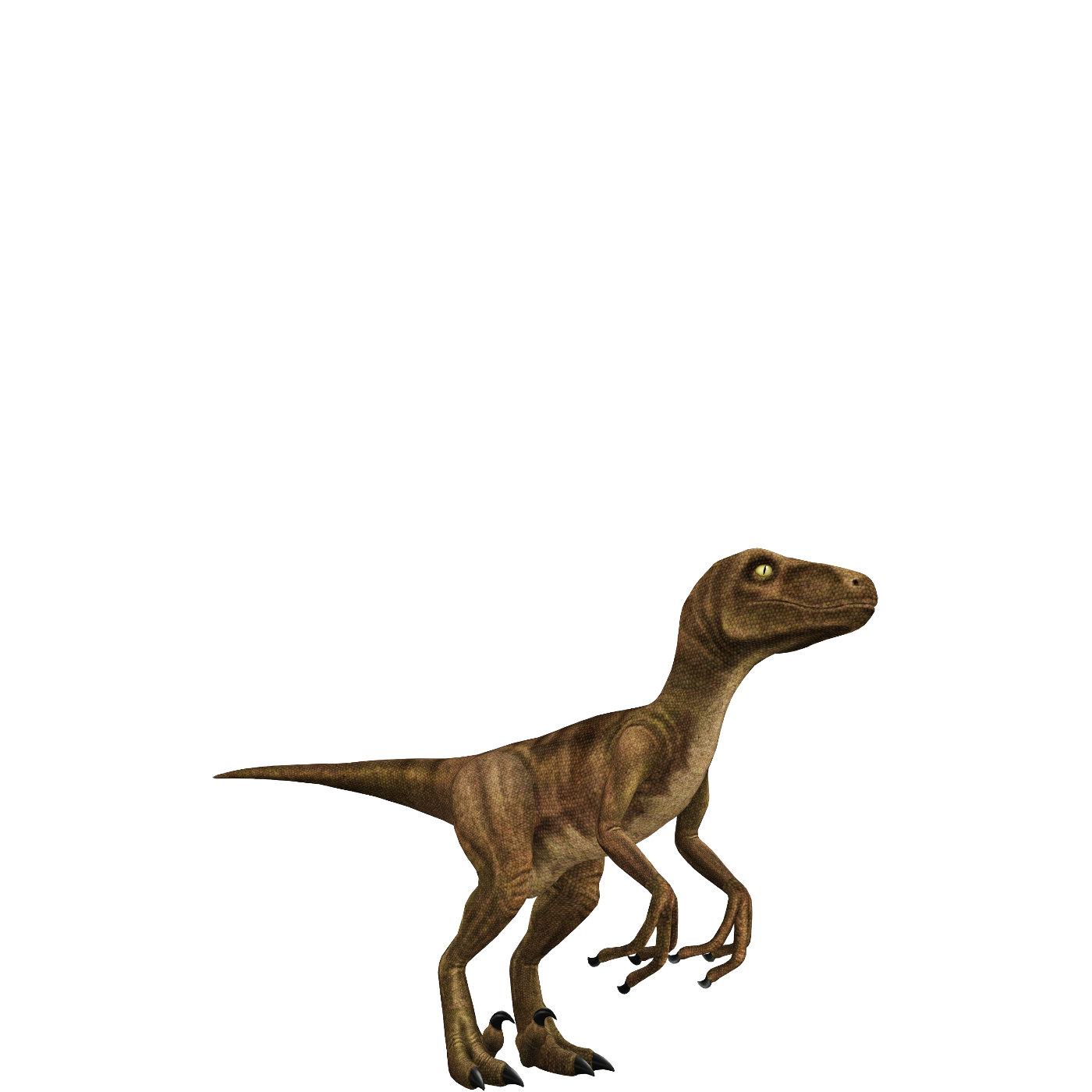 Velociraptor PNG HD Image