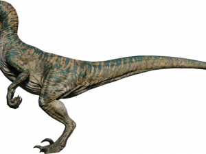 Velociraptor PNG Image HD