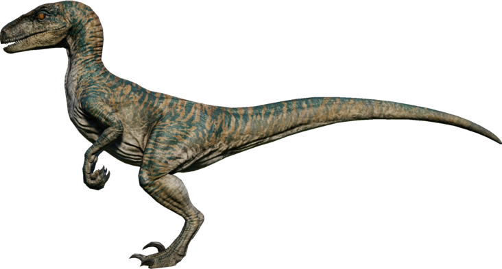 Velociraptor PNG Image HD