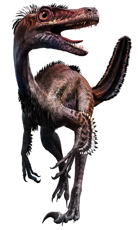 Velociraptor PNG Image