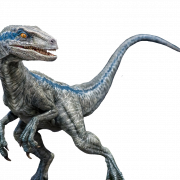 Velociraptor PNG Images