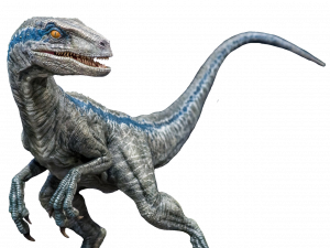 Velociraptor PNG Images