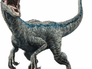 Velociraptor PNG Images HD