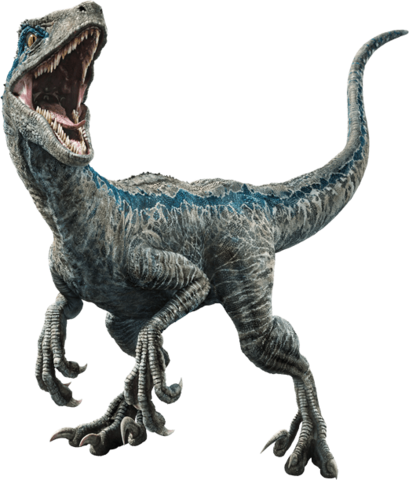 Velociraptor PNG Images HD