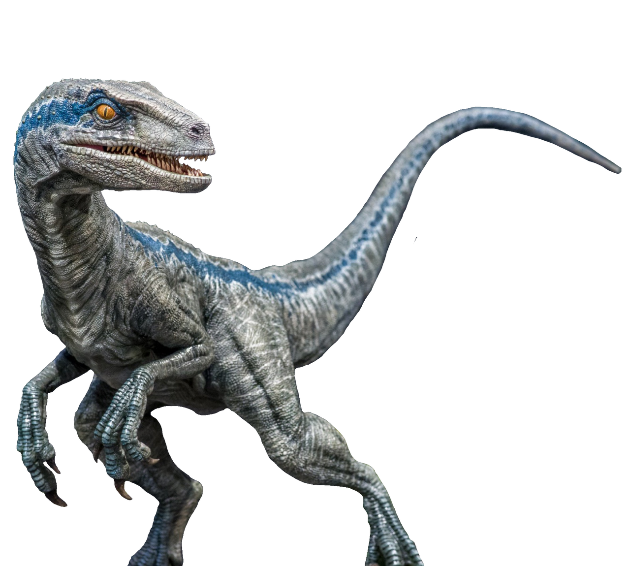 Velociraptor PNG Images