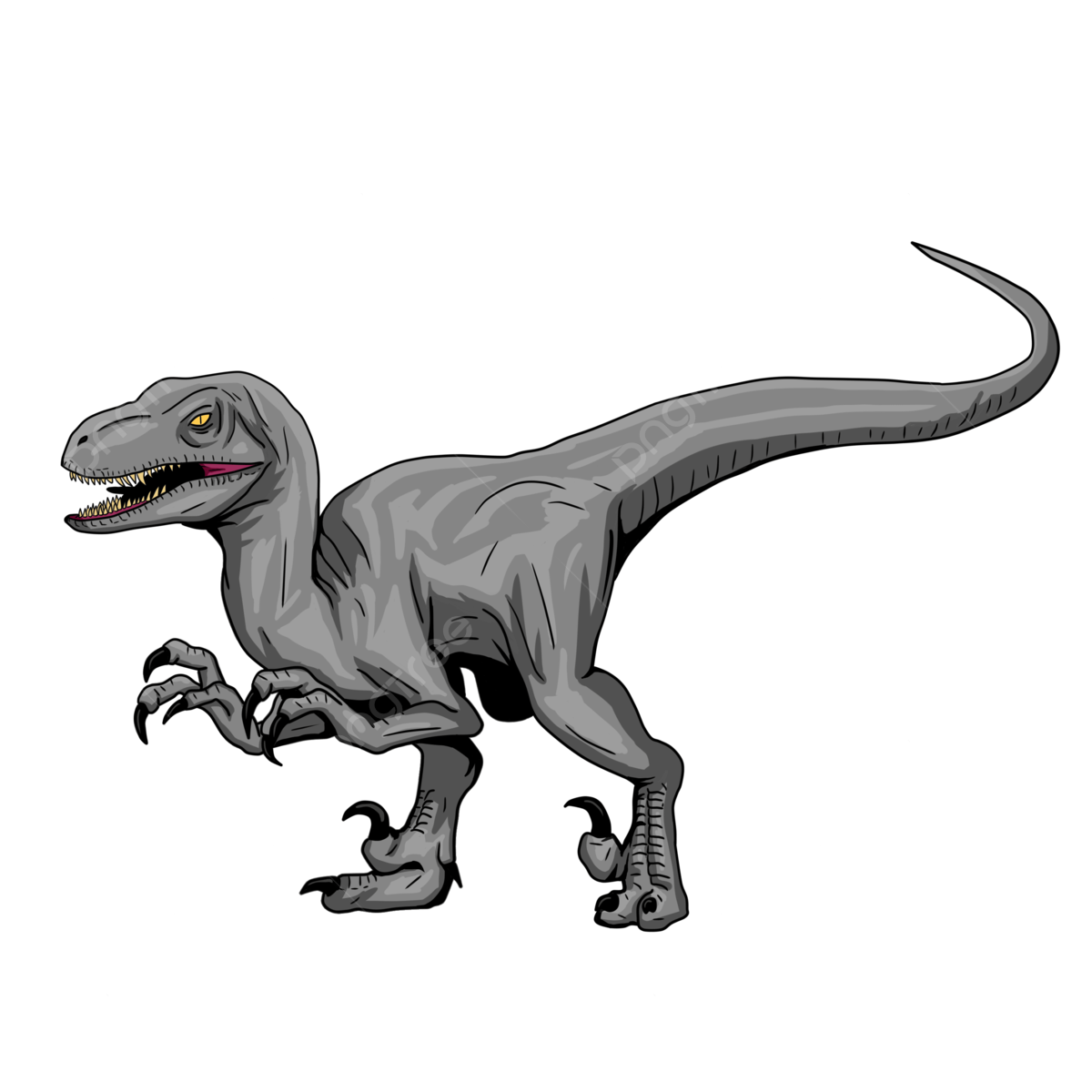 Velociraptor PNG Photos