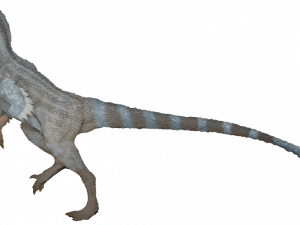 Velociraptor PNG Picture