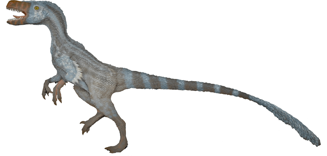 Velociraptor PNG Picture