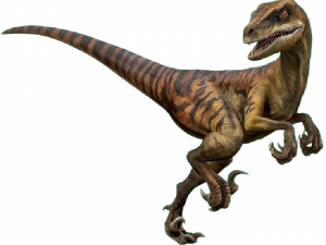 Velociraptor Transparent