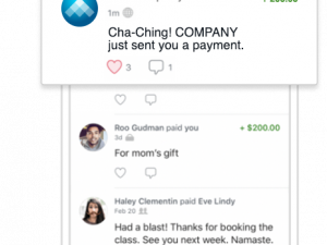 Venmo Transparent