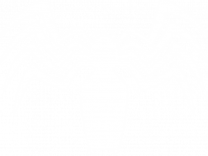 Venom Logo PNG Images