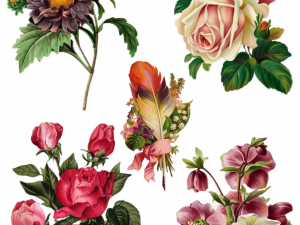 Vintage Flowers PNG