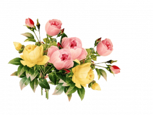 Vintage Flowers PNG Picture