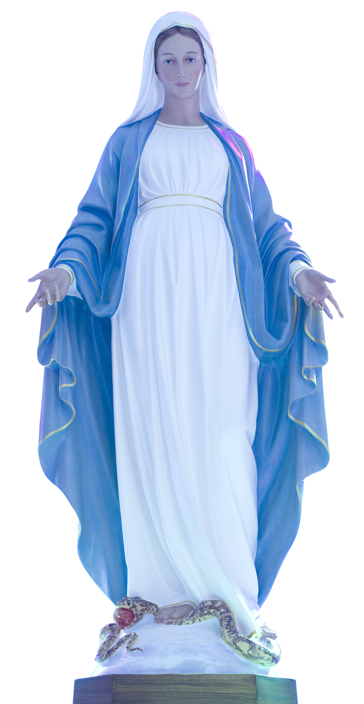 Virgin Mary PNG Photos