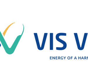 Vis a Vis Logo PNG File