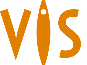 Vis a Vis Logo PNG Image