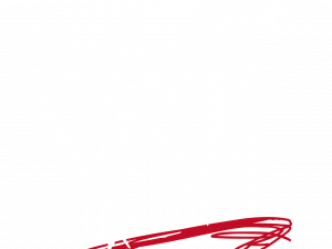 WWF Logo PNG HD Image