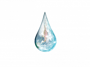 Water Droplets PNG Free Image