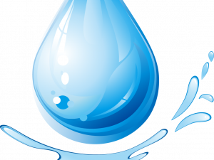 Water Droplets PNG Image