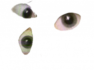 eyes, gaze, vision, observation, focus, perception, expression, Weirdcore Eyes PNG