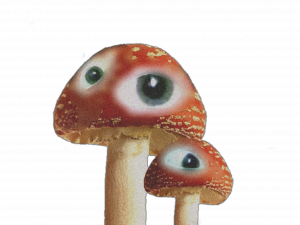 mushrooms with eyes, surreal fungi, whimsical mushroom art, fantasy mushroom design, Weirdcore Eyes PNG