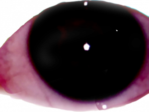 Weirdcore Eyes PNG Pic