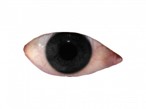 Weirdcore PNG Picture