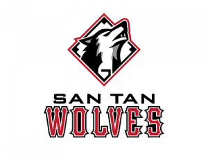 Wolf Logo PNG Image File