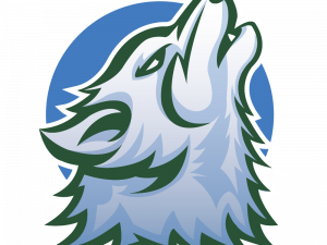 Wolf Logo PNG Photos