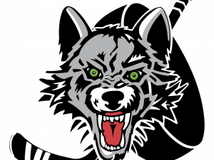 Wolf Logo PNG Pic