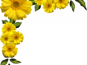 Yellow Flower PNG Clipart