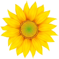 Yellow Flower PNG Image