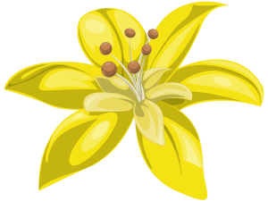 Yellow Flower PNG Images HD