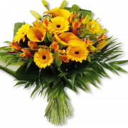 Yellow Flower PNG Photo