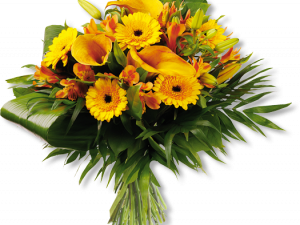 Yellow Flower PNG Photo