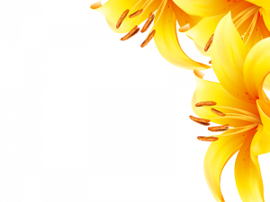 Yellow Flower PNG Pic