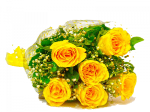 Yellow Rose