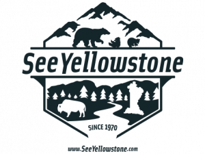 Yellowstone PNG Pic