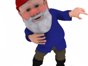 You've Been Gnomed No Background