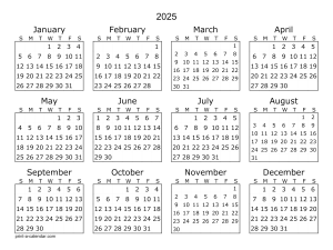 2025 Yearly Calendar Overview, annual planner, monthly schedule, dates and holidays, time management tool, Calendar 2025 PNG