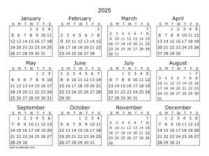 2025 Monthly Calendar Overview, Yearly Planner, Schedule Layout, Planner Template, Organizational Chart, Time Allocation Schedule, Calendar 2025 PNG