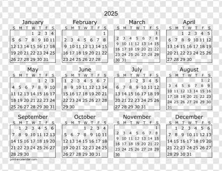 2025 Monthly Calendar Overview, Yearly Planner, Schedule Layout, Planner Template, Organizational Chart, Time Allocation Schedule, Calendar 2025 PNG