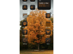 autumn theme, smartphone interface, orange foliage, seasonal wallpaper, iOS 18 PNG