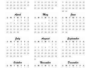 2025 Yearly Calendar Template, monthly planner, printable calendar, annual schedule, date organizer, Calendar 2025 PNG