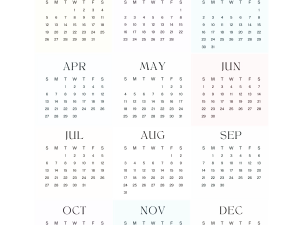 2025 Calendar Year Overview, yearly planner, monthly calendar, date grid, annual schedule, Calendar 2025 PNG