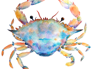 crab illustration, watercolor crab art, marine life painting, colorful crab design, Cancer Season PNG